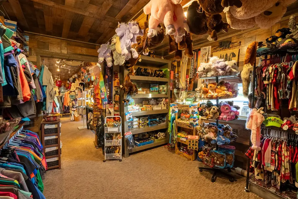 Toys, books and souvenirs in the gift shop