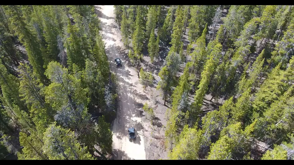Drone view of RZRs on a forest road through the pines