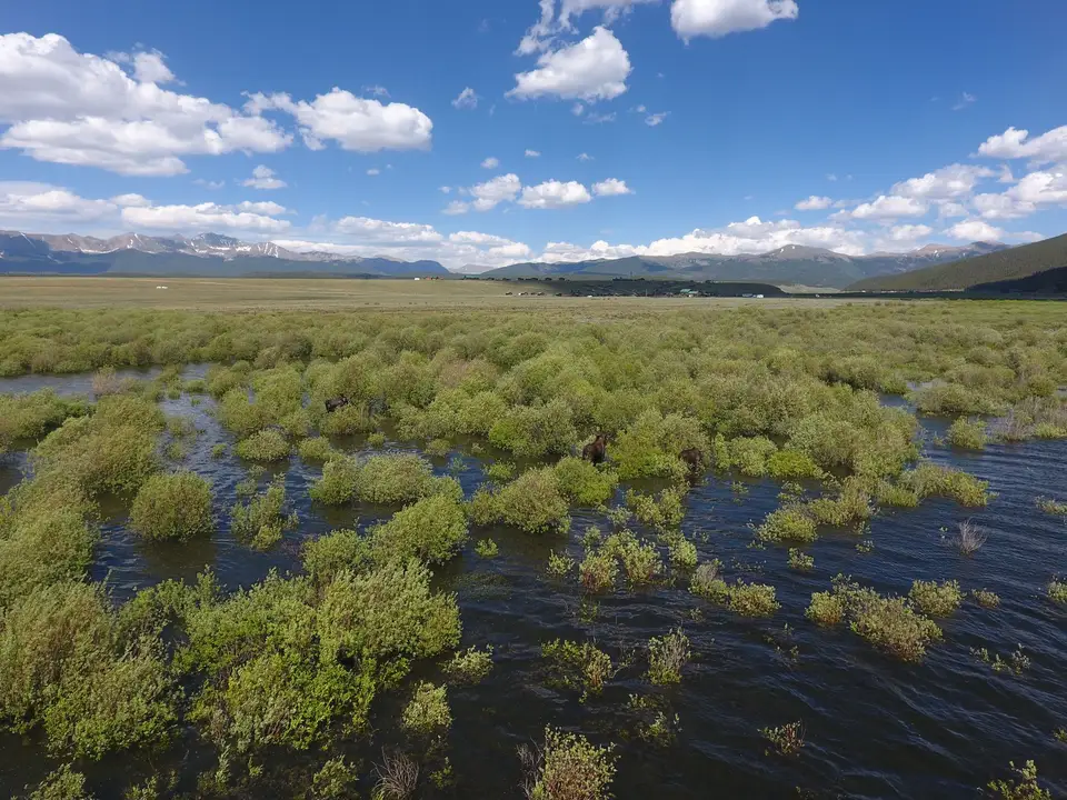 Drone view of the willow flats and ponds near Taylor Park