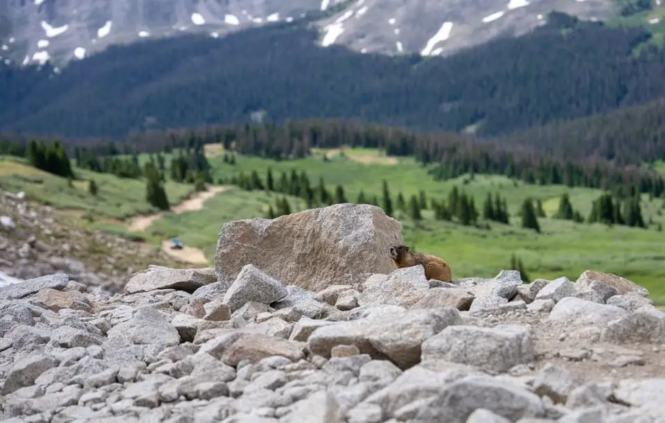Tincup Pass — photo 4 of 12