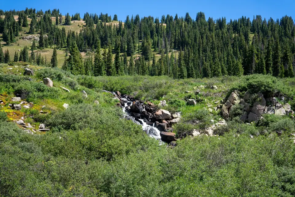 Taylor Pass — photo 9 of 14